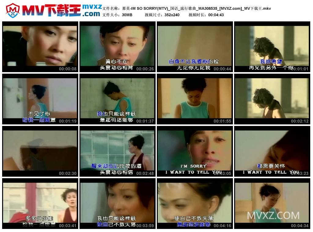 那英-IM SO SORRY(MTV)_国语_流行歌曲_MA308535